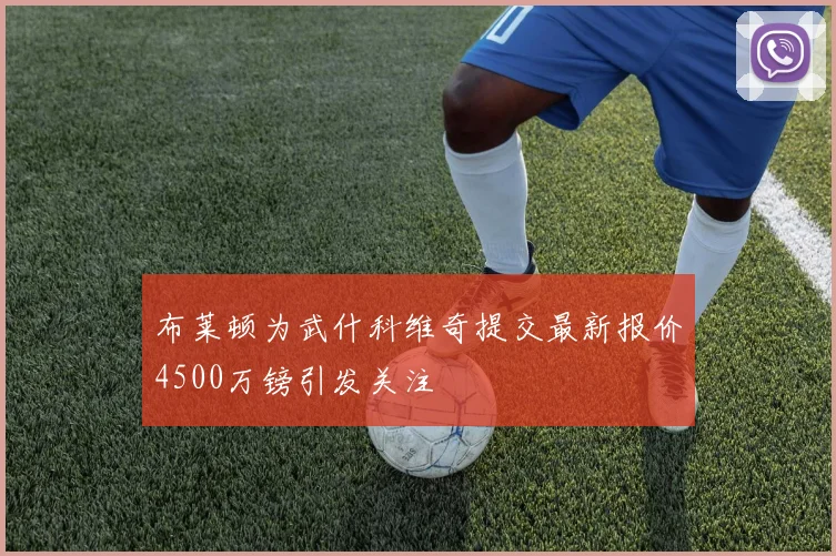 布莱顿为武什科维奇提交最新报价4500万镑引发关注
